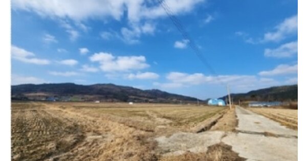전라남도 신안군 안좌면 대우리 OOOOO O OOO 답 경매 물건 이미지