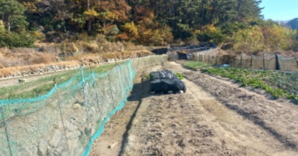 경상남도 거제시 남부면 다대리 OOO 답 경매 물건 이미지