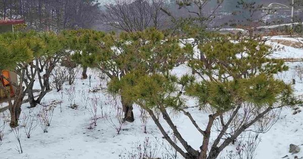 경기도 여주시 대신면 당산리 OOO O OOO 단독주택 경매 물건 이미지