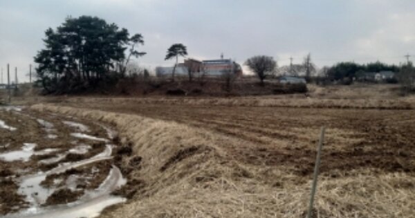 충청남도 당진시 송악읍 부곡리 OOO 답 경매 물건 이미지