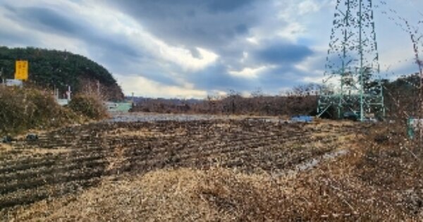 충청북도 제천시 봉양읍 봉양리 OOOOO 전 경매 물건 이미지