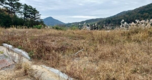 전라남도 담양군 월산면 중월리 OOO 대지 경매 물건 이미지