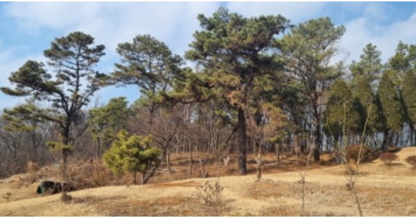 경기도 고양시 덕양구 원당동 OOOOO 단독주택 경매 물건 이미지