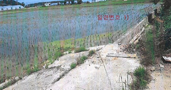 경상북도 울진군 평해읍 월송리 OOOOO O OOO 답 경매 물건 이미지