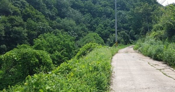 경상북도 청송군 부남면 구천리 OOO 전 경매 물건 이미지