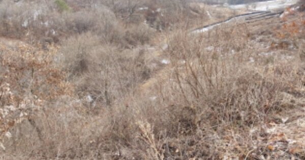 충청남도 금산군 진산면 교촌리 OOO 전 경매 물건 이미지