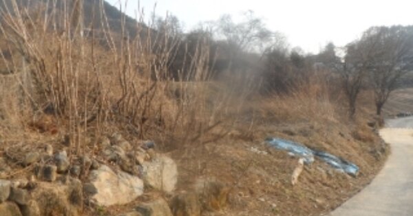 강원특별자치도 영월군 주천면 용석리 OOO O OOO 대지 경매 물건 이미지