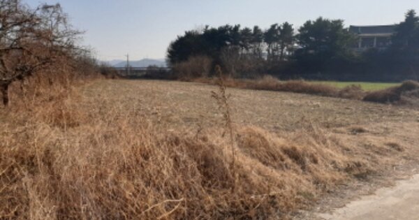 경상북도 경주시 건천읍 금척리 OOOOO O OOO 전 경매 물건 이미지