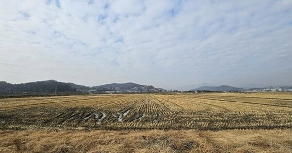 인천광역시 강화군 선원면 연리 OOOO 답 경매 물건 이미지