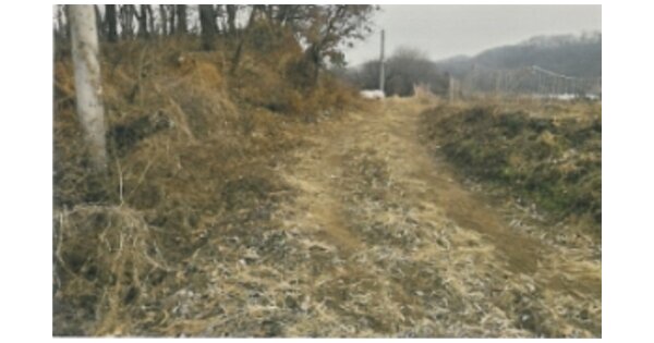 경상북도 구미시 고아읍 횡산리 OOOO O OOO 단독주택 경매 물건 이미지