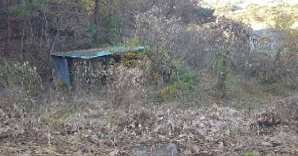 충청남도 보령시 청라면 소양리 OOO O OOO 대지 경매 물건 이미지