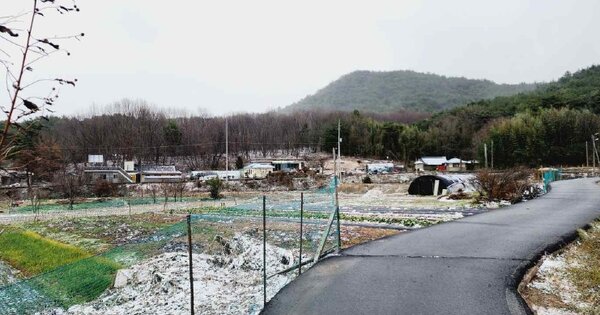 충청남도 보령시 남곡동 OOOOO 전 경매 물건 이미지