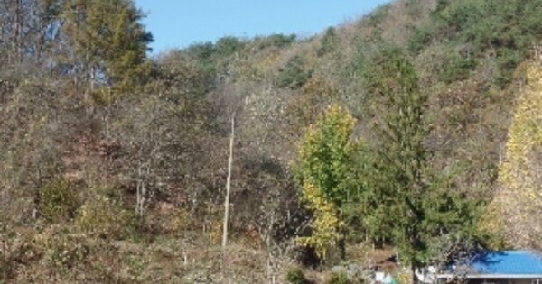 충청남도 논산시 벌곡면 만목리 OOO 답 경매 물건 이미지