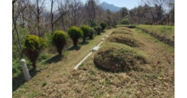 경상남도 고성군 마암면 삼락리 OOOOO 임야 경매 물건 이미지