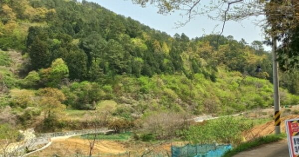 경상남도 거제시 연초면 죽토리 OOO O OOO 전 경매 물건 이미지