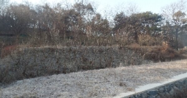 충청남도 논산시 은진면 시묘리 OOOOO 전 경매 물건 이미지