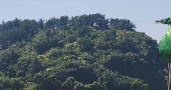 경상남도 통영시 도남동 OOO 전 경매 물건 이미지