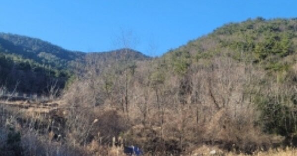 경상남도 거제시 둔덕면 거림리 OOOOOO 임야 경매 물건 이미지