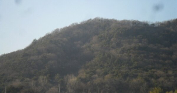 전라북도 고창군 아산면 운곡리 OOO 임야 경매 물건 이미지