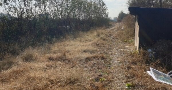 충청북도 음성군 대소면 대풍리 OOOOO 전 경매 물건 이미지