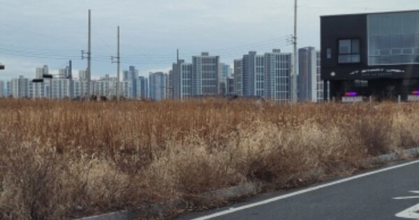 경상북도 포항시 북구 흥해읍 성곡리 OOOO 대지 경매 물건 이미지
