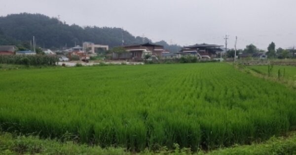 강원특별자치도 춘천시 신동 OOOOO 답 경매 물건 이미지