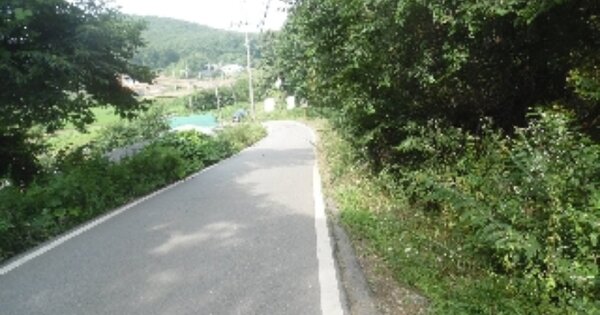 충청남도 서산시 대산읍 대로리 OOOOOO O OOO 도로 경매 물건 이미지