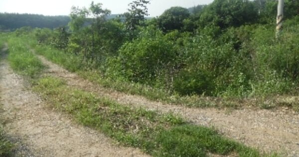 충청남도 서산시 대산읍 대로리 OOOOOO 잡종지 경매 물건 이미지