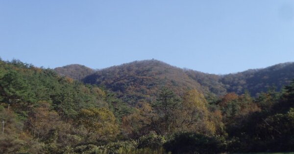 전라남도 해남군 화원면 월호리 OOOO 임야 경매 물건 이미지