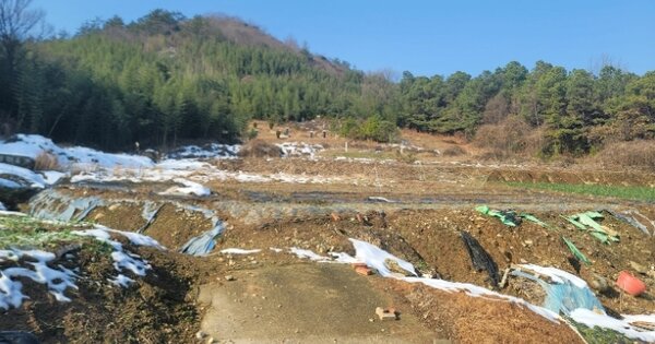 전라남도 무안군 청계면 도대리 OOO 답 경매 물건 이미지