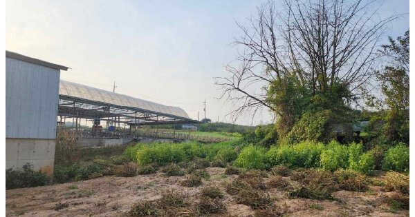 충청남도 당진시 송악읍 금곡리 OOOOO 전 경매 물건 이미지
