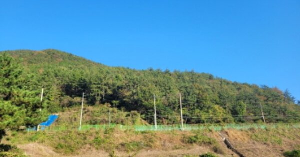 전라남도 여수시 돌산읍 평사리 OOOO 임야 경매 물건 이미지