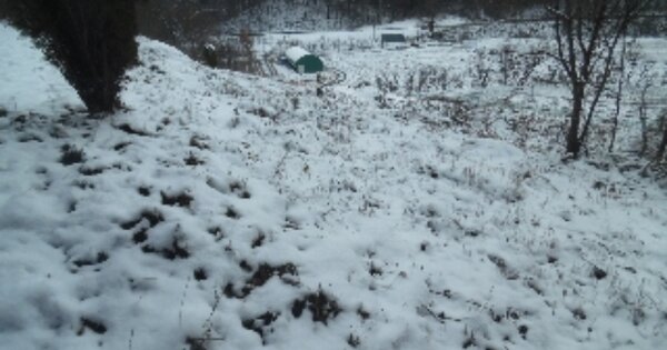 충청남도 서산시 성연면 고남리 OOOOOO 임야 경매 물건 이미지