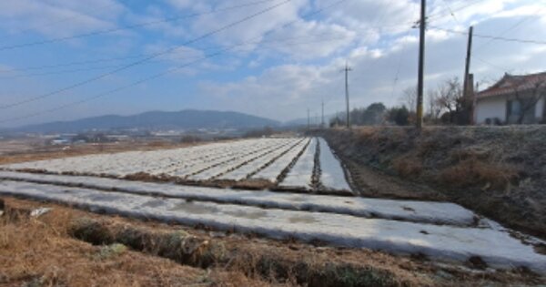 충청남도 서산시 운산면 가좌리 OOOOO O OOO 임야 경매 물건 이미지