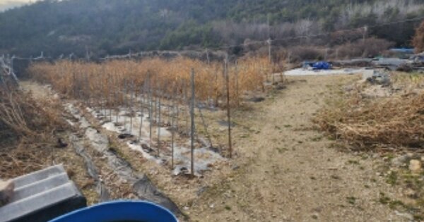 전라남도 고흥군 도화면 구암리 OOOO 전 경매 물건 이미지