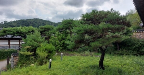 경기도 고양시 일산동구 사리현동 OOOOOO O OOO 도로 경매 물건 이미지