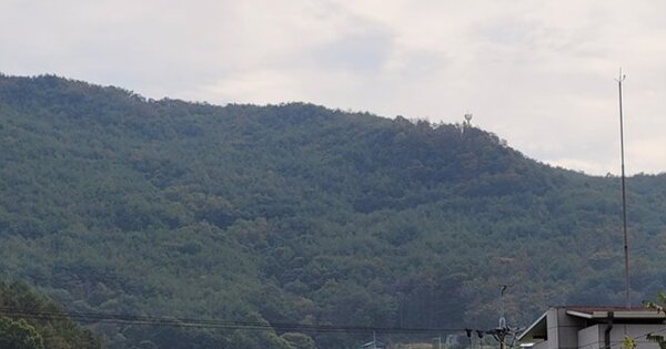 경상북도 예천군 은풍면 우곡리 OOO 임야 경매 물건 이미지