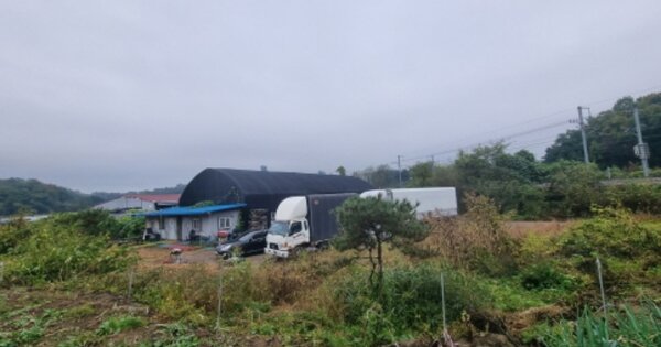 경기도 남양주시 진건읍 배양리 OOOOO O OOO 답 경매 물건 이미지