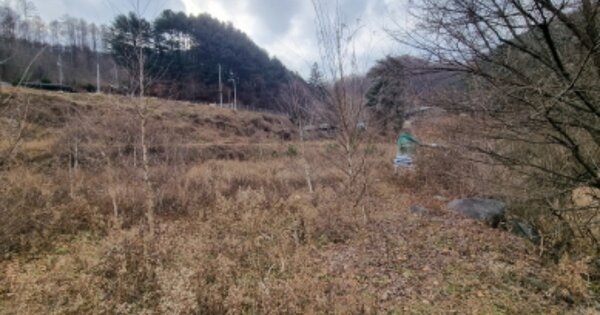 경기도 가평군 북면 백둔리 OOO 전 경매 물건 이미지