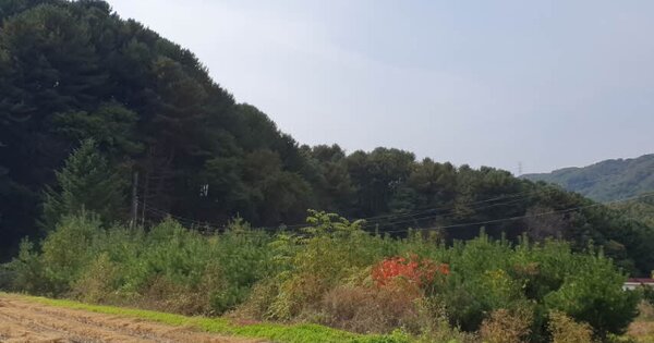 경기도 동두천시 탑동동 OOO O OOO 답 경매 물건 이미지
