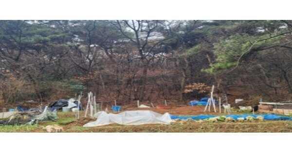 광주광역시 남구 송하동 OOO 임야 경매 물건 이미지