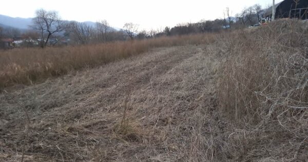 경기도 포천시 영북면 야미리 OOO 답 경매 물건 이미지
