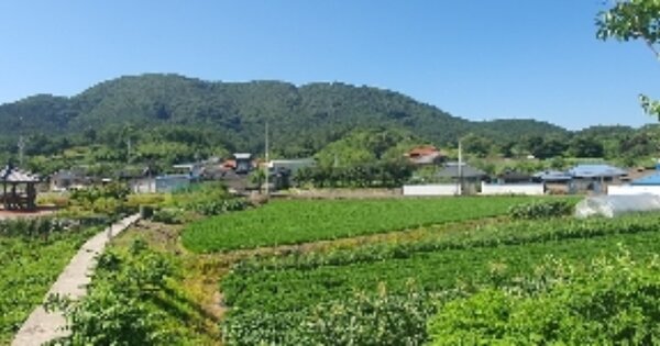 경상남도 함안군 가야읍 사내리 OOOOO 답 경매 물건 이미지