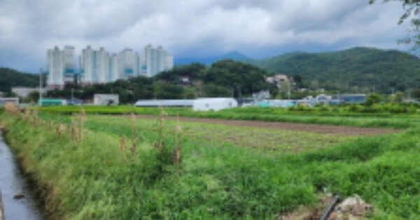 울산광역시 울주군 삼남읍 교동리 OOOOO O OOO 답 경매 물건 이미지