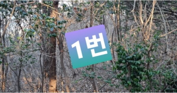 부산광역시 강서구 눌차동 OOO 답 경매 물건 이미지