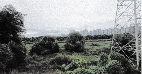 서울특별시 강남구 수서동 OOO 전 경매 물건 이미지