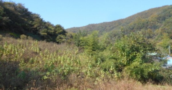 대전광역시 동구 상소동 OOOOO O OOO 전 경매 물건 이미지