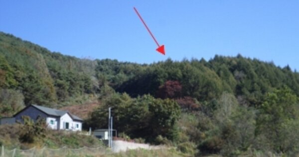 강원특별자치도 횡성군 둔내면 조항리 OOOOO 전 경매 물건 이미지