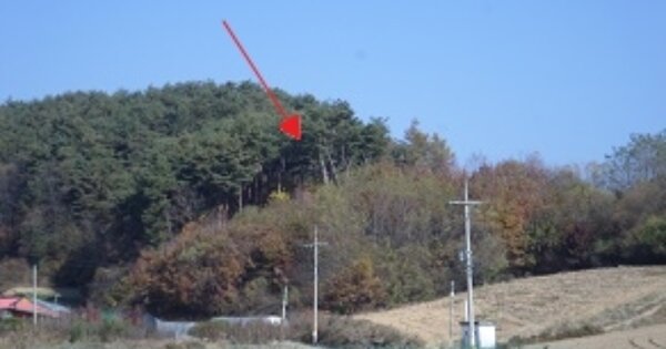 강원특별자치도 횡성군 둔내면 우용리 OOOOO O OOO 임야 경매 물건 이미지