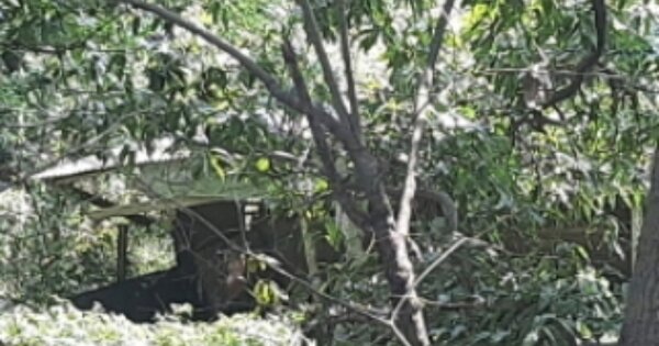 인천 강화군 양도면 인산리 OOOOO O OOO 단독주택 경매 물건 이미지